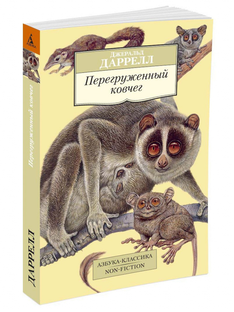 Перегруженный ковчег.jpg
